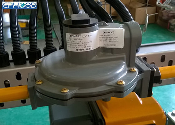 Gas het Verwarmen het Compacte Ontwerp van Materiaalfisher gas regulator two stage