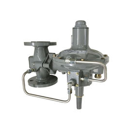 Het Beëindigen Fisher Control Gas Regulator Pressure die van de vissers299h Flens Klep verminderen