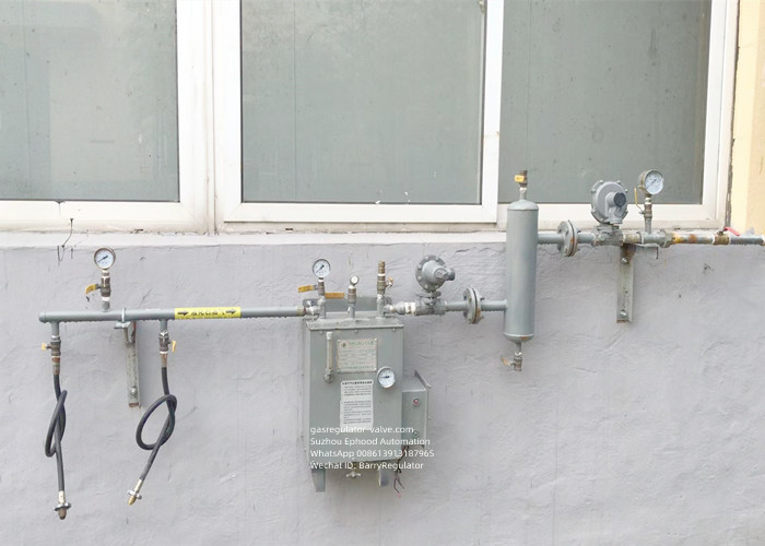 220V het elektrische het Verwarmen Watertype Gebruik van de het Gasverstuiver van LPG bij Gasfornuis