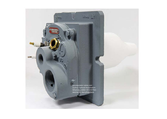 Noord-Amerikaans 4441 model Tempest Gasbrander met hoge snelheid en lage NOx Gebruik bij gasbrander