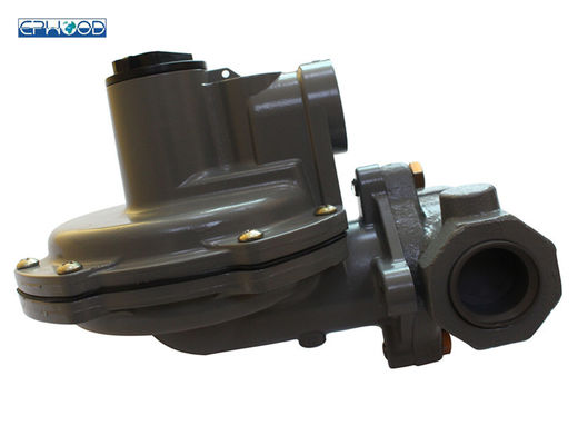 1 Druk die van het de Bollichaam van de duimvisser HSR de Modelpressure regulator NPT Regelgever verminderen