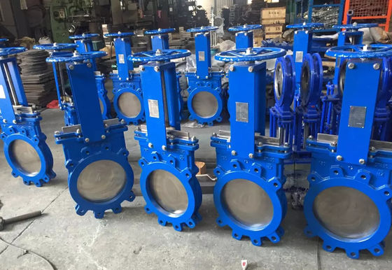 Dubbele van de de Poortklep van het Flenswater van het het Roestvrije staalmes Hand In werking gestelde de Poortklep