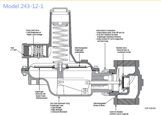 Druk die van de het Propaanregelgever 125psi van Sensus de Model Hoge Stroom 243-12 Klep verminderen