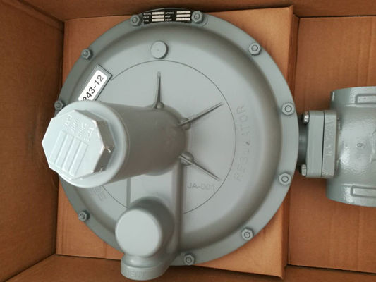Druk die van de het Propaanregelgever 125psi van Sensus de Model Hoge Stroom 243-12 Klep verminderen