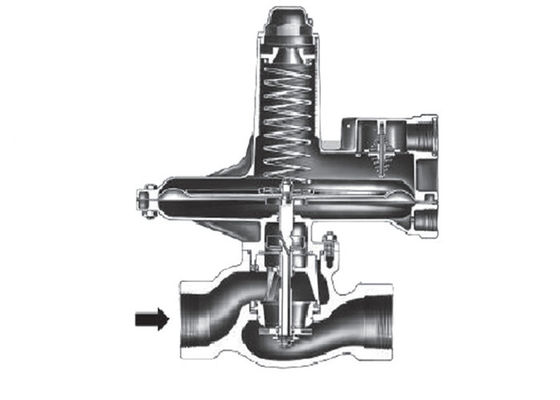 Kneedbare de Reeks Directe In werking gestelde Gasdruk die van de Ijzervisser 133L Regelgever verminderen