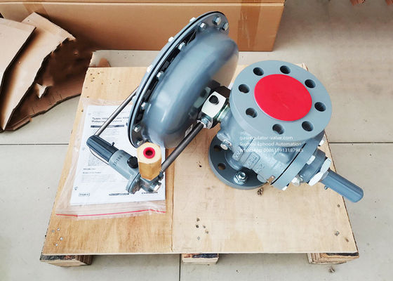 Hoge 1098-EGR van Stroomrate fisher gas regulator voor de Corrosieve Dienst van de Milieu'szuurstof