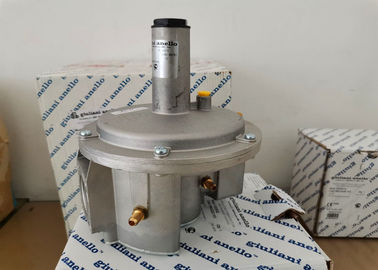FGDR32/50 de modeldrukregelaar van het Aluminiumgas met Gebouwd in Filter Italië Giuliani Gemaakte Anello